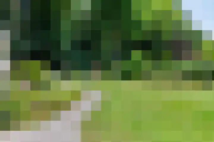 Clementinalaan 11 Veldhoven thumbnail 21