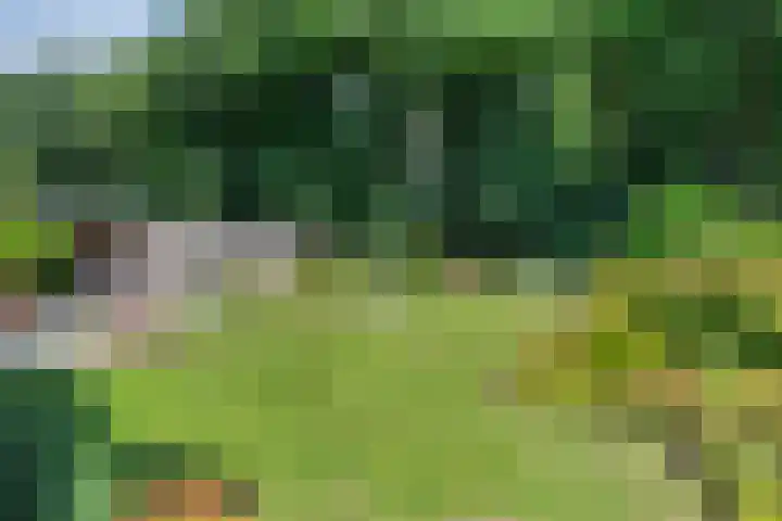Clementinalaan 11 Veldhoven thumbnail 22
