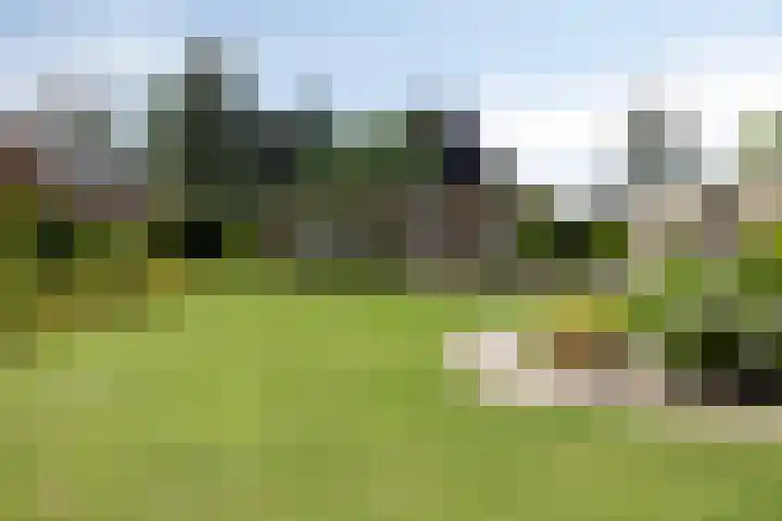 Clementinalaan 11 Veldhoven thumbnail 23