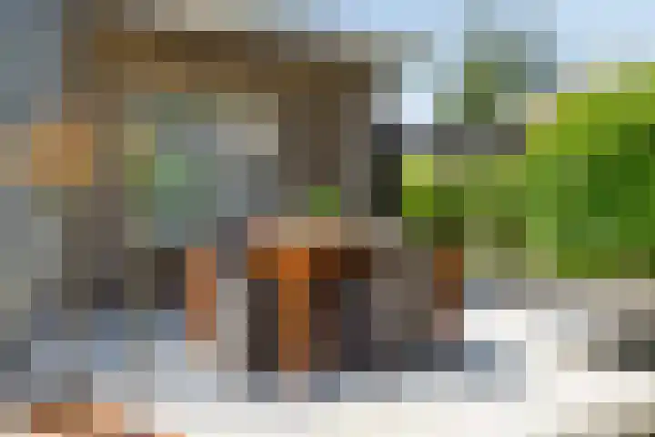 Clementinalaan 11 Veldhoven thumbnail 25
