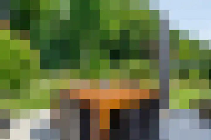 Clementinalaan 11 Veldhoven thumbnail 26