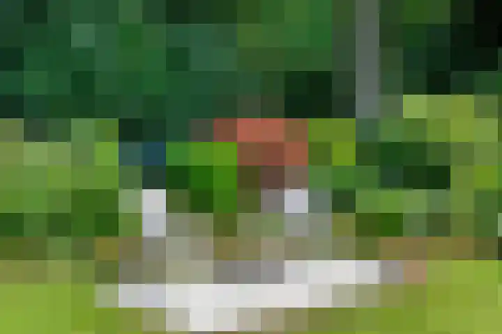 Clementinalaan 11 Veldhoven thumbnail 27