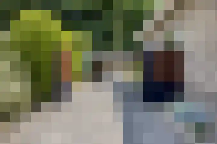 Clementinalaan 11 Veldhoven thumbnail 29