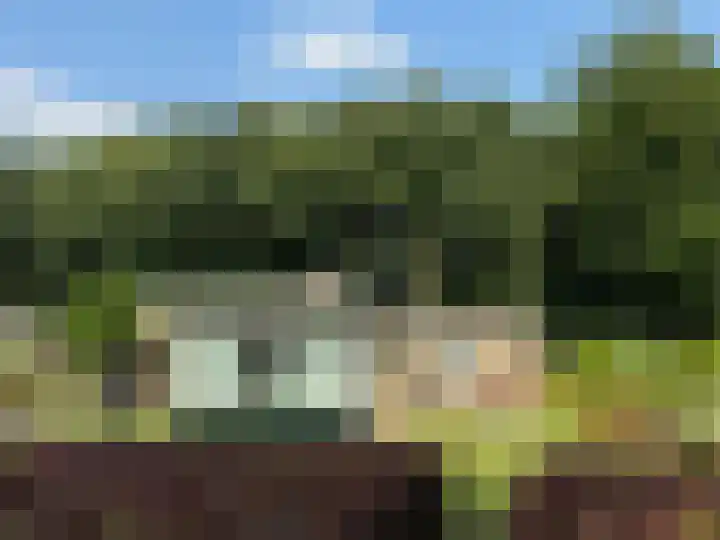 Clementinalaan 11 Veldhoven thumbnail 38