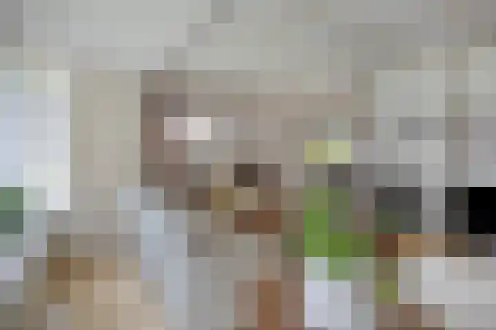 Clementinalaan 11 Veldhoven thumbnail 4