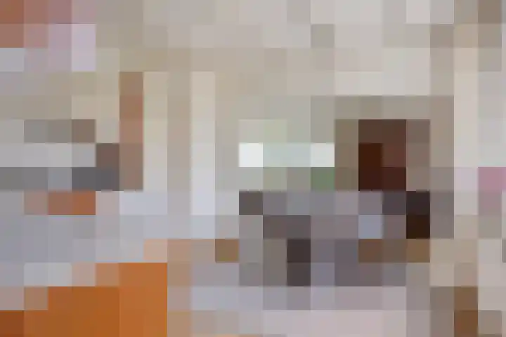 Clementinalaan 11 Veldhoven thumbnail 7