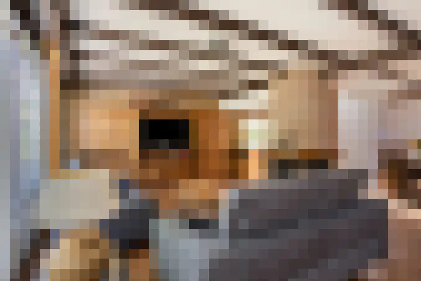 Clementinalaan 28 Veldhoven thumbnail 11