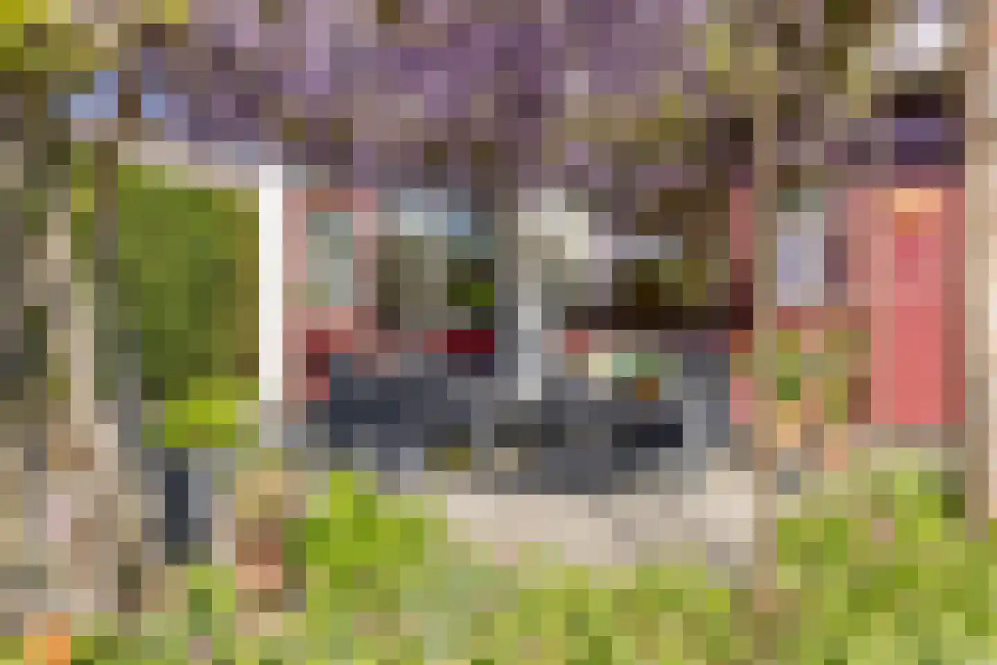 Clementinalaan 28 Veldhoven thumbnail 52