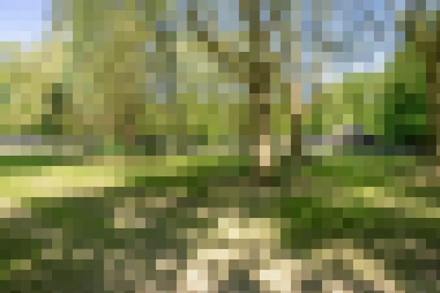 Clementinalaan 28 Veldhoven thumbnail 60