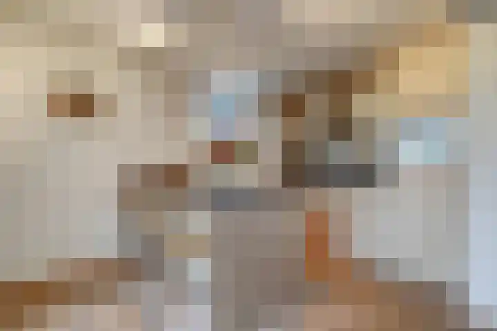 Clementpolderstraat 1 Gouda thumbnail 4