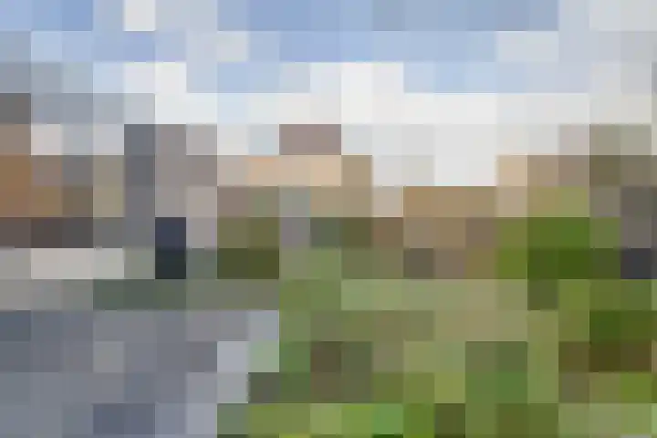 Clementpolderstraat 1 Gouda thumbnail 5