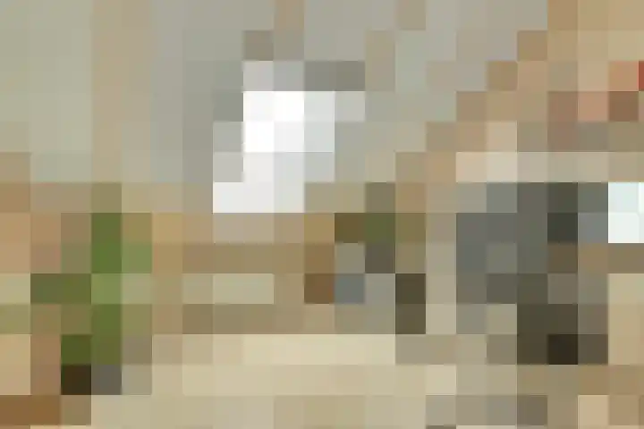 Clementpolderstraat 5 Gouda thumbnail 33