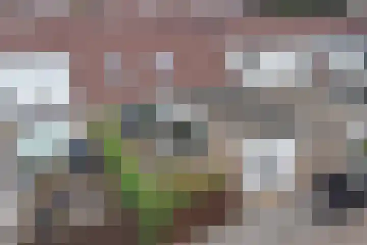 Clementpolderstraat 5 Gouda thumbnail 36