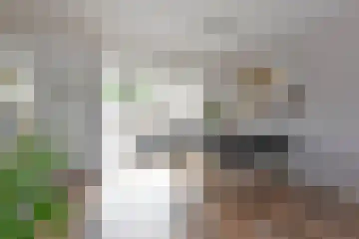 Clementszstraat 8 Ter Aar thumbnail 12