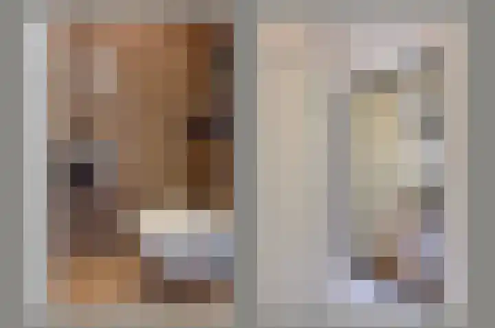 Clementszstraat 8 Ter Aar thumbnail 13