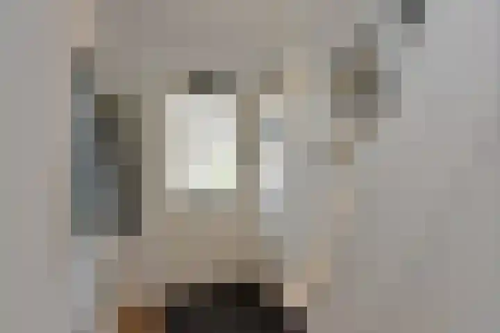 Clementszstraat 8 Ter Aar thumbnail 14