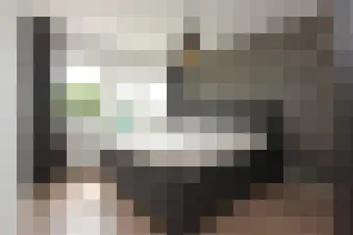 Clementszstraat 8 Ter Aar thumbnail 15