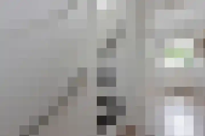 Clementszstraat 8 Ter Aar thumbnail 21