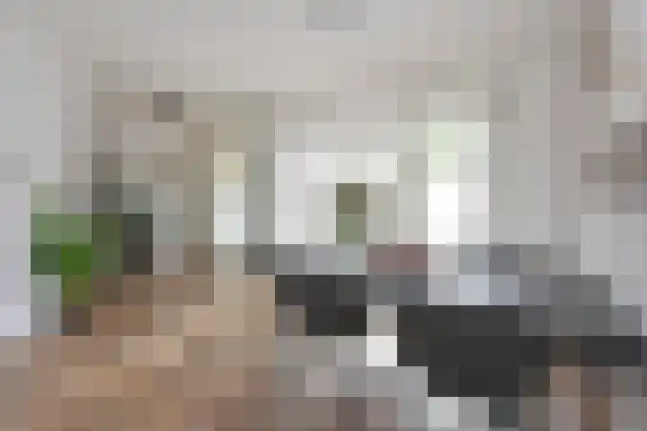 Clementszstraat 8 Ter Aar thumbnail 4
