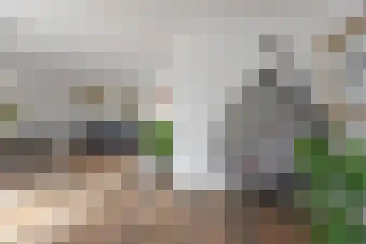 Clementszstraat 8 Ter Aar thumbnail 7