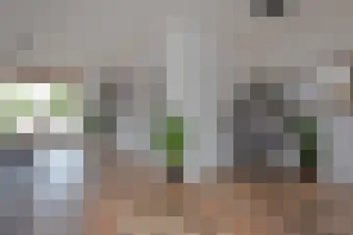 Clementszstraat 8 Ter Aar thumbnail 8