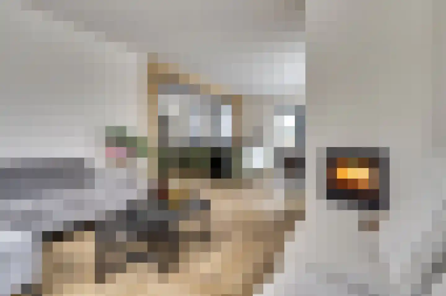 Clercqswegje 5 Kruiningen thumbnail 15