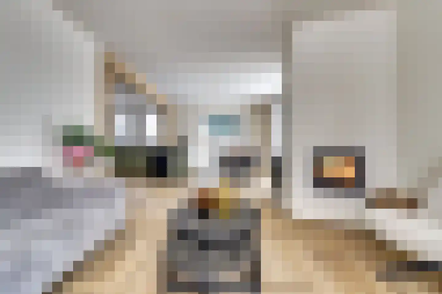 Clercqswegje 5 Kruiningen thumbnail 16
