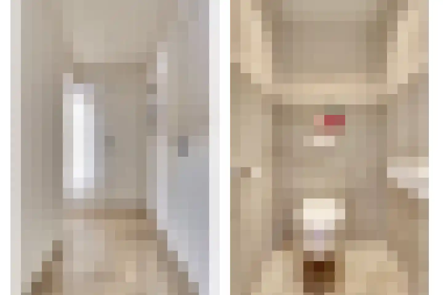 Clercqswegje 5 Kruiningen thumbnail 17