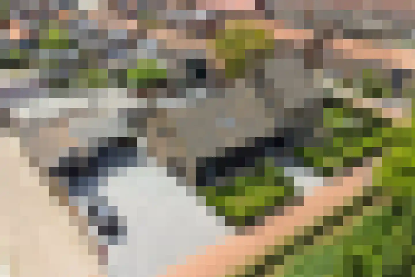 Clercqswegje 5 Kruiningen thumbnail 54