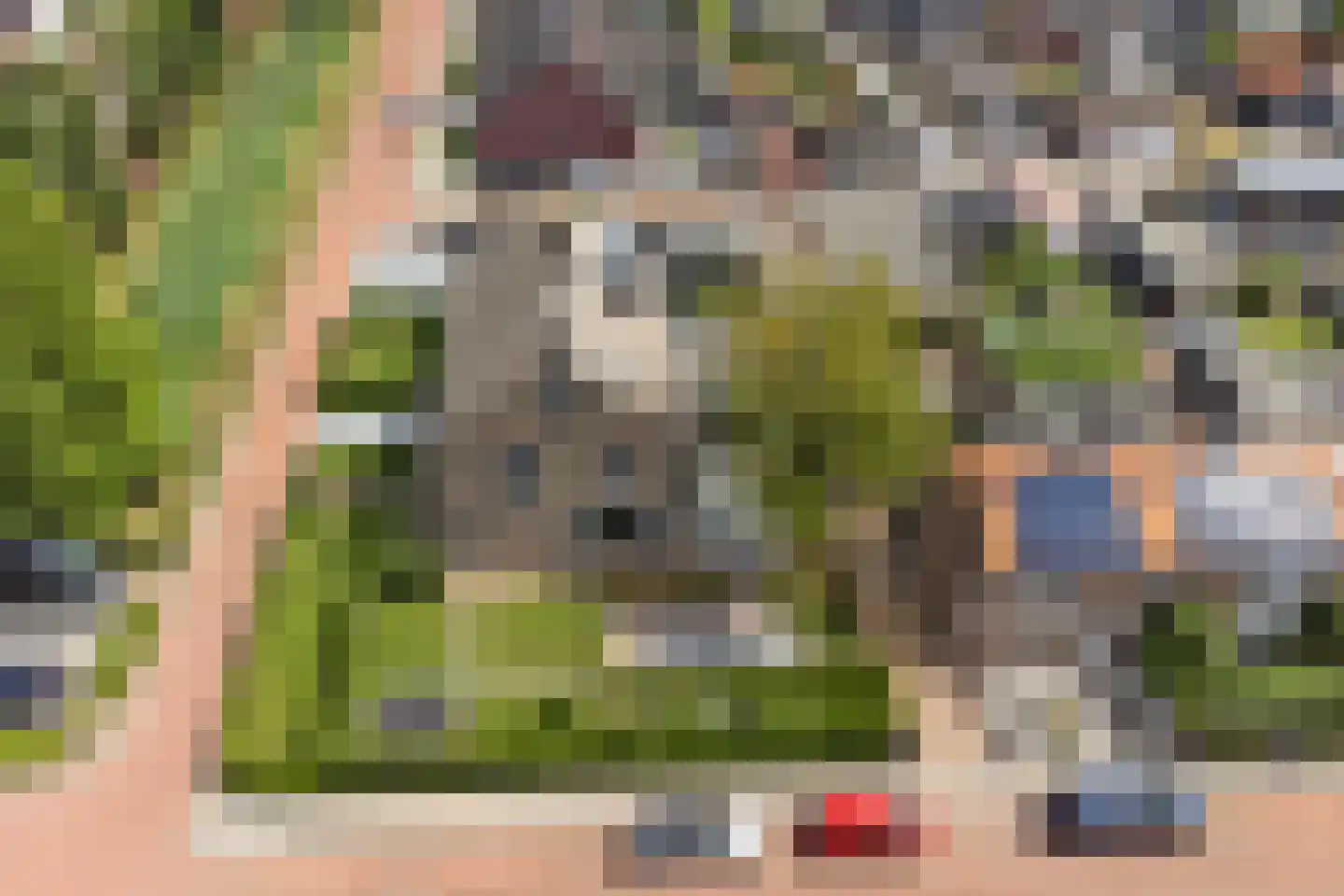 Clercqswegje 5 Kruiningen thumbnail 60