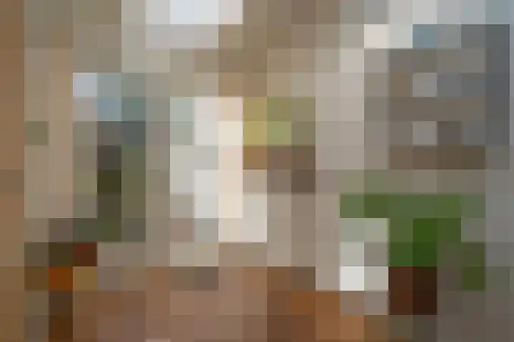 Clercxstraat 34 Tilburg thumbnail 25