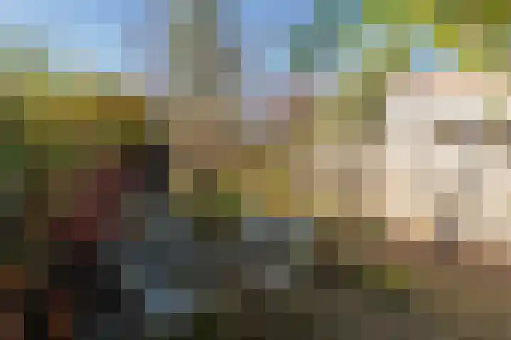 Clercxstraat 34 Tilburg thumbnail 31