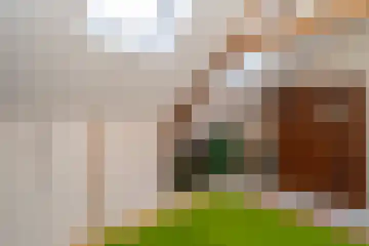 Clercxstraat 34 Tilburg thumbnail 39