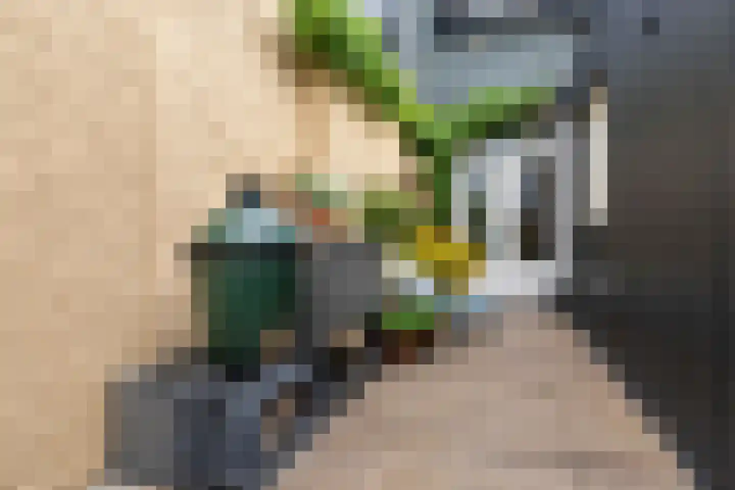 Clercxstraat 36 Tilburg thumbnail 36