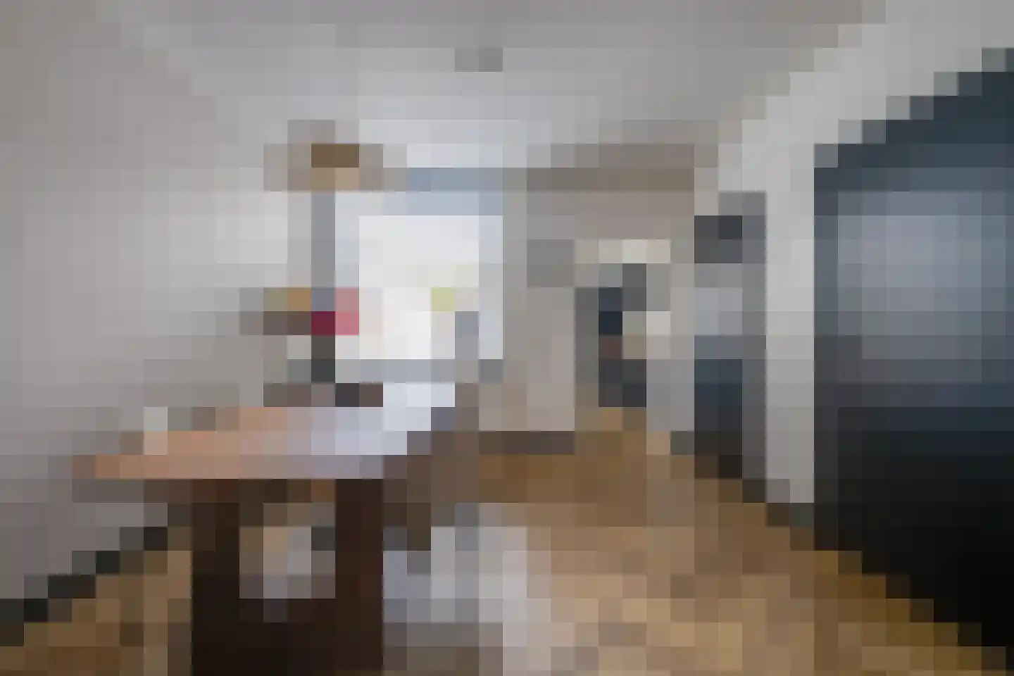 Clercxstraat 47 Tilburg thumbnail 16
