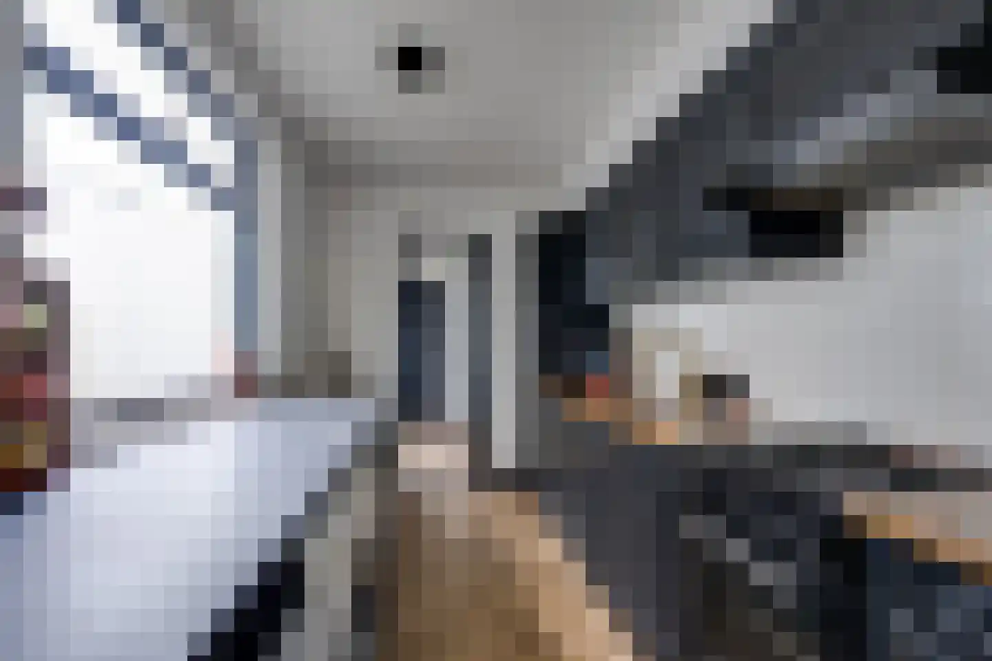 Clercxstraat 47 Tilburg thumbnail 17