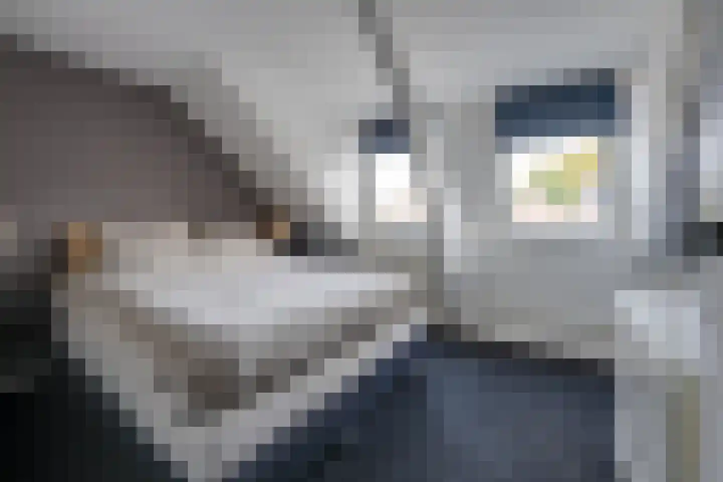 Clercxstraat 47 Tilburg thumbnail 22