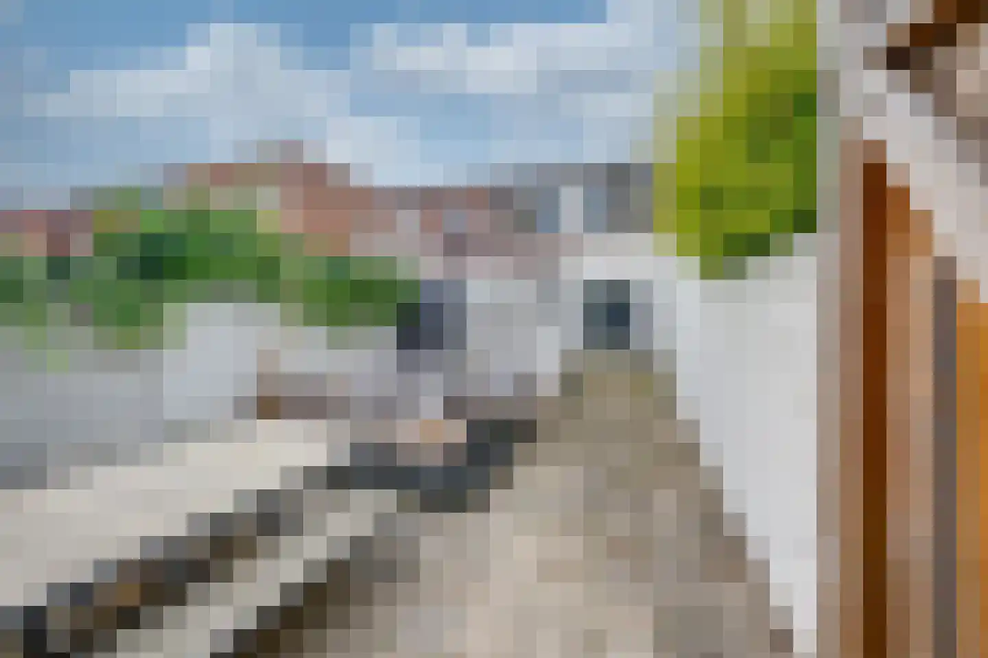 Clercxstraat 47 Tilburg thumbnail 30