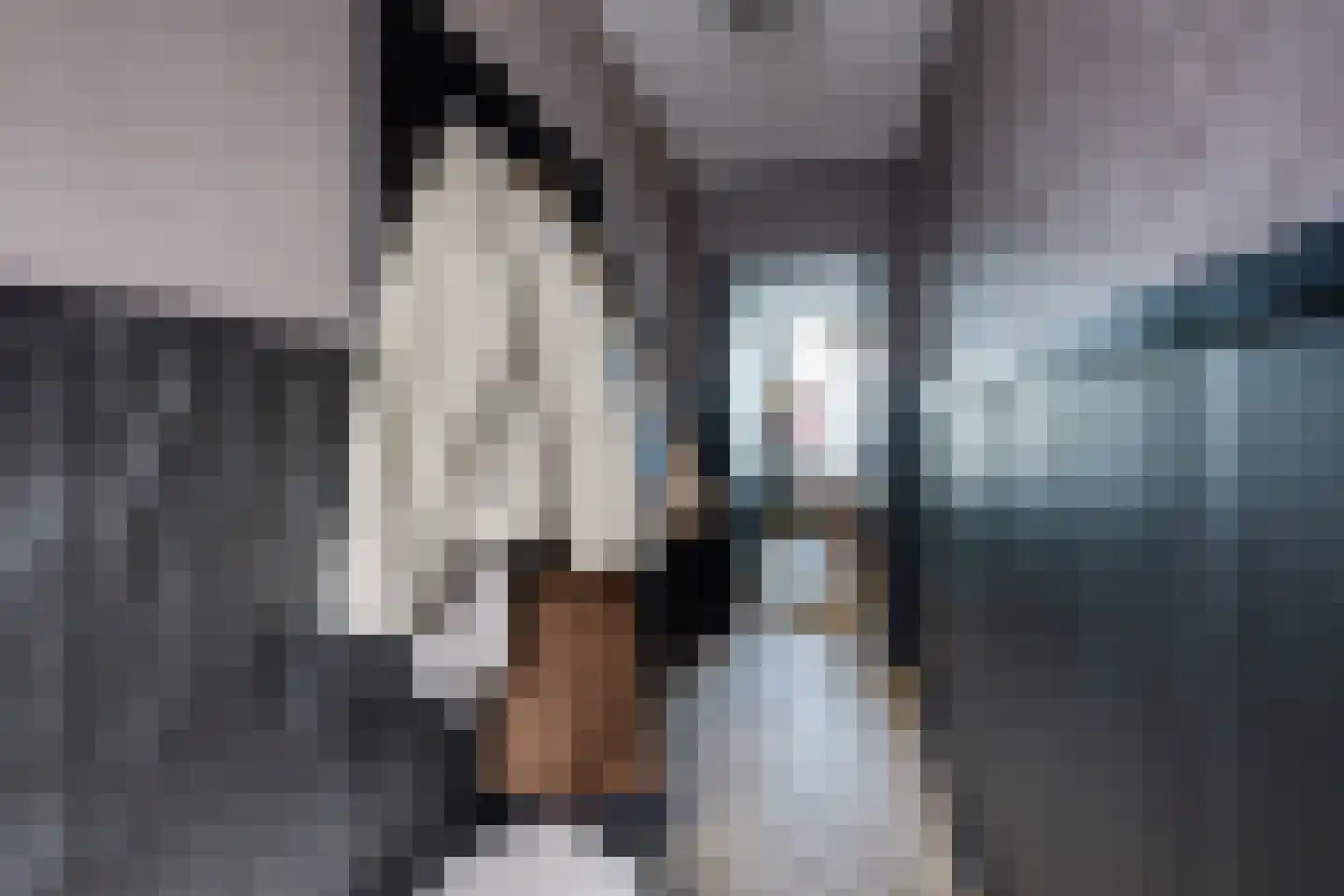 Clercxstraat 47 Tilburg thumbnail 9