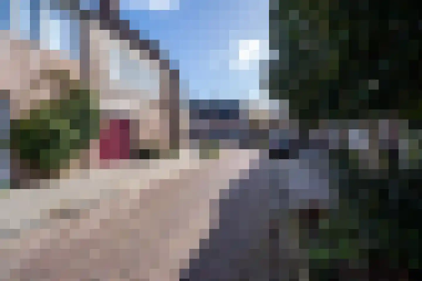 Clercxstraat 9 Tilburg thumbnail 52