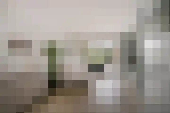 Clervauxlaan 5 Eindhoven thumbnail 10