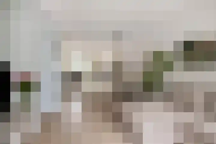 Clervauxlaan 5 Eindhoven thumbnail 12