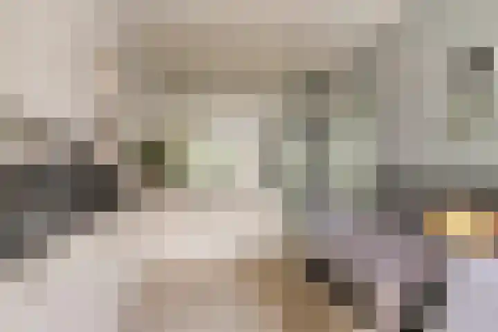 Clervauxlaan 5 Eindhoven thumbnail 15