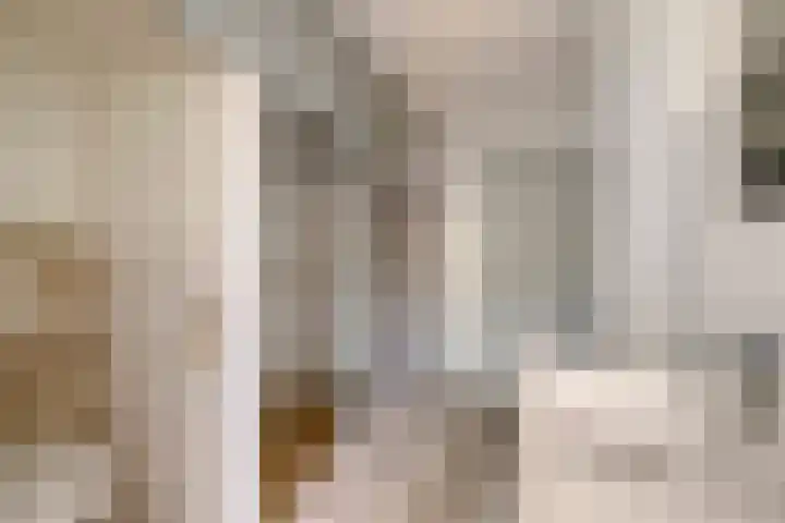 Clervauxlaan 5 Eindhoven thumbnail 17