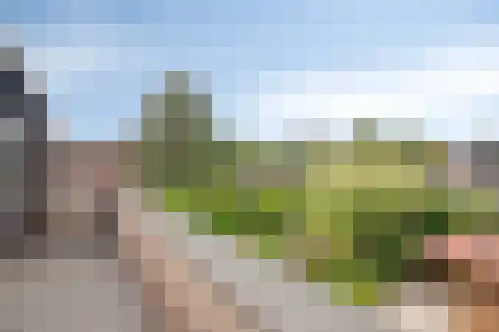 Clervauxlaan 5 Eindhoven thumbnail 30