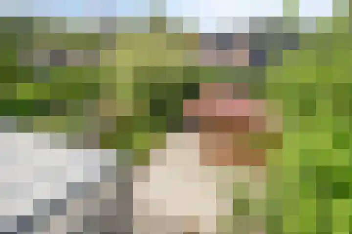 Clervauxlaan 5 Eindhoven thumbnail 31