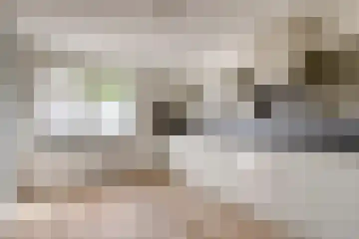Clervauxlaan 5 Eindhoven thumbnail 32