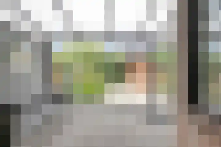 Clervauxlaan 5 Eindhoven thumbnail 36