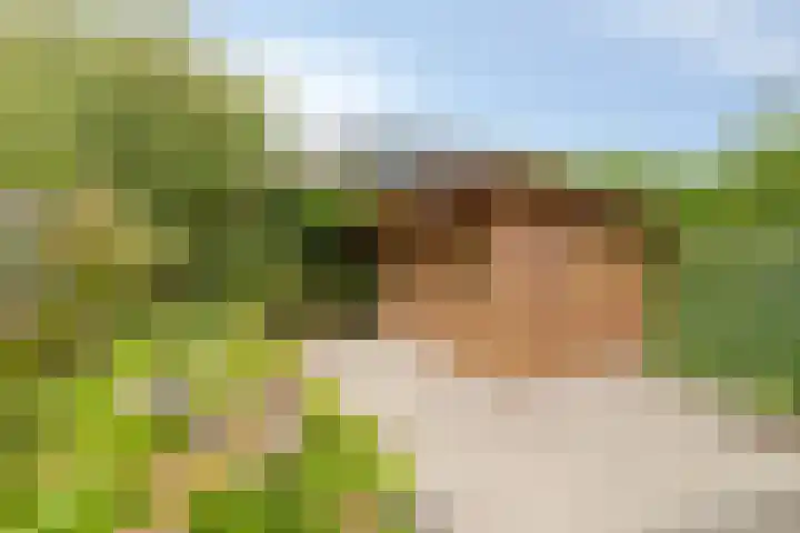 Clervauxlaan 5 Eindhoven thumbnail 38
