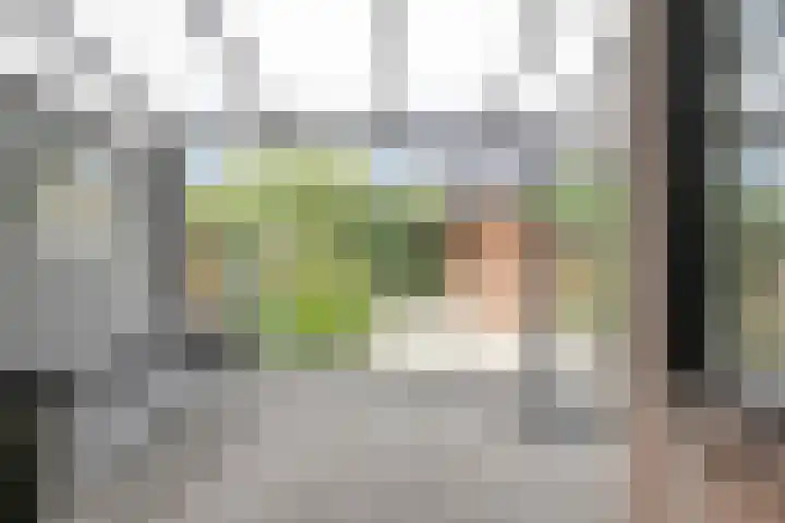 Clervauxlaan 5 Eindhoven thumbnail 4
